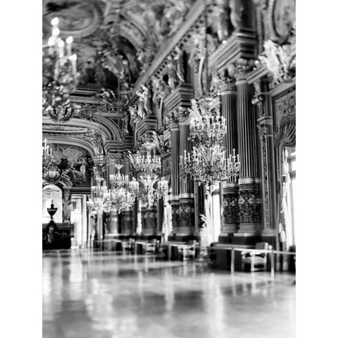 Palais Garnier White Modern Wood Framed Art Print by Telik, Tracey