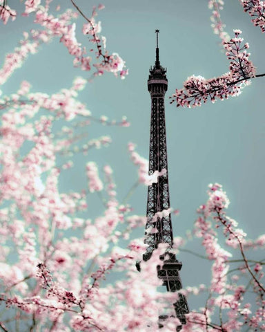 Spring Eiffel Pastel White Modern Wood Framed Art Print with Double Matting by Telik, Tracey