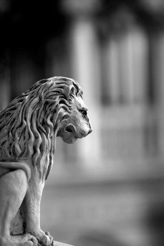 Leone Black Ornate Wood Framed Art Print with Double Matting by Telik, Tracey