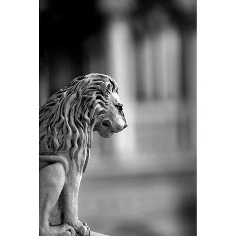 Leone Black Modern Wood Framed Art Print by Telik, Tracey