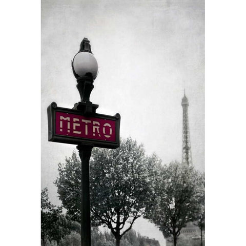 Metro Catching Black Modern Wood Framed Art Print with Double Matting by Telik, Tracey