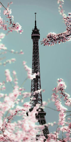 Spring Eiffel Pastel Black Ornate Wood Framed Art Print with Double Matting by Telik, Tracey