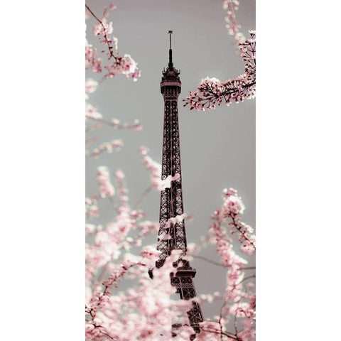 Spring Eiffel Pastel Black Modern Wood Framed Art Print by Telik, Tracey