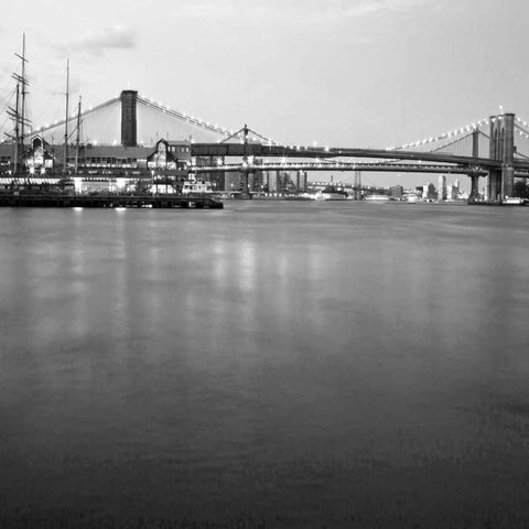 Brooklyn bw White Modern Wood Framed Art Print by Telik, Tracey