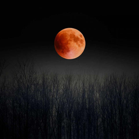 Blood Moon Black Modern Wood Framed Art Print by Telik, Tracey