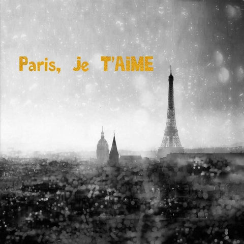 Paris Je Aime Enlight Black Modern Wood Framed Art Print with Double Matting by Telik, Tracey