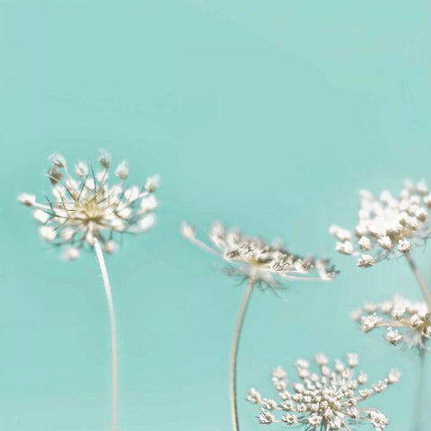 Queens Mint 40 Gold Ornate Wood Framed Art Print with Double Matting by Telik, Tracey