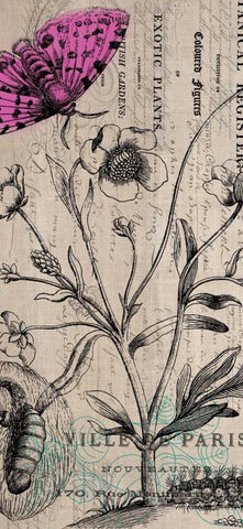 Botanical 9 White Modern Wood Framed Art Print with Double Matting by Jordan, Elizabeth