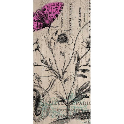 Botanical 9 Black Modern Wood Framed Art Print by Jordan, Elizabeth