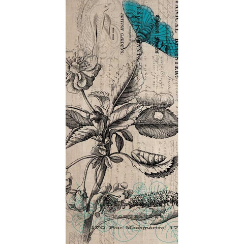 Botanical 10 Black Modern Wood Framed Art Print by Jordan, Elizabeth