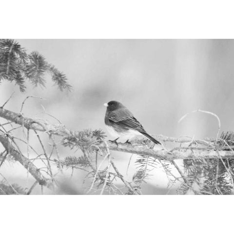 Waiting On The World To Change White Modern Wood Framed Art Print by Jordan, Elizabeth