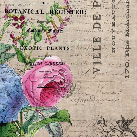 Botanical Register 1 White Modern Wood Framed Art Print by Jordan, Elizabeth