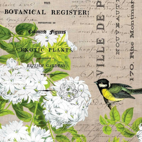 Botanical Register 2 Black Modern Wood Framed Art Print by Jordan, Elizabeth