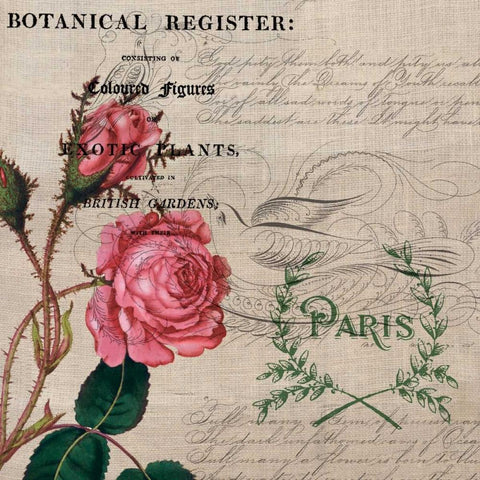 Botanical Register board Black Modern Wood Framed Art Print with Double Matting by Jordan, Elizabeth