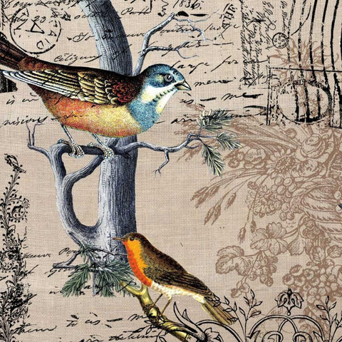 Postcard Birds 1 Gold Ornate Wood Framed Art Print with Double Matting by Jordan, Elizabeth