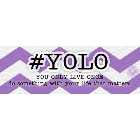 YOLO Instaquote Gold Ornate Wood Framed Art Print with Double Matting by Pazan, Tony