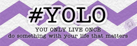 YOLO Instaquote White Modern Wood Framed Art Print with Double Matting by Pazan, Tony