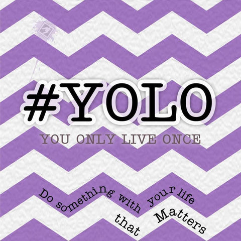 YOLO White Modern Wood Framed Art Print by Pazan, Tony