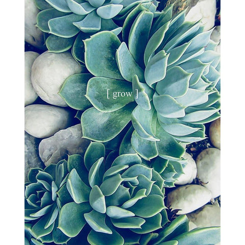 Grow Calm 2 White Modern Wood Framed Art Print by Urban Epiphany