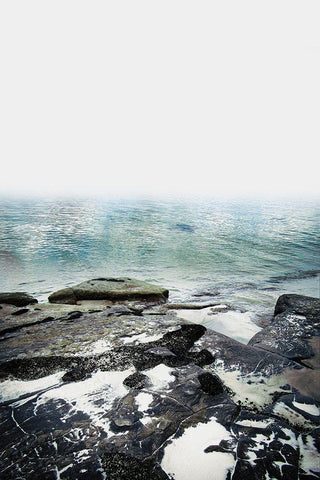 Coastline 1 Black Ornate Wood Framed Art Print with Double Matting by Urban Epiphany