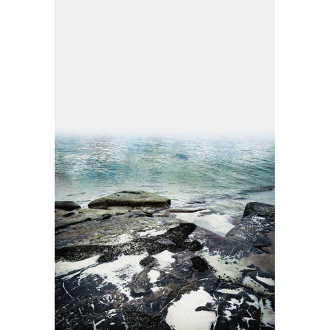 Coastline 1 Gold Ornate Wood Framed Art Print with Double Matting by Urban Epiphany