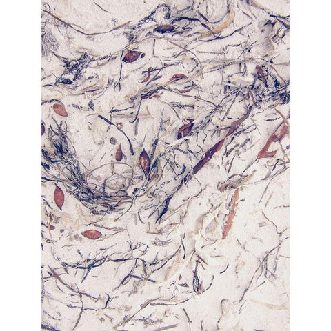 Shells 2 White Modern Wood Framed Art Print by Urban Epiphany
