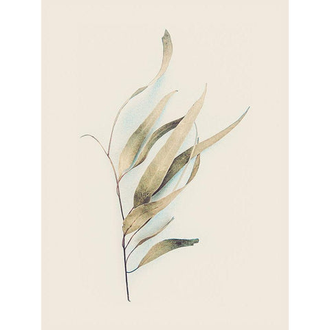 Gum Leaves White Modern Wood Framed Art Print by Urban Epiphany