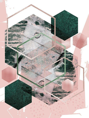 Pink Green Geo Hex Black Ornate Wood Framed Art Print with Double Matting by Urban Epiphany