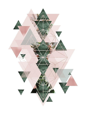 Pink Green Geometric 2 Black Ornate Wood Framed Art Print with Double Matting by Urban Epiphany