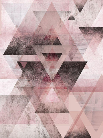 Pink Geometric Black Ornate Wood Framed Art Print with Double Matting by Urban Epiphany