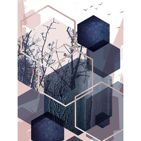 Geo Birds 4 Black Modern Wood Framed Art Print with Double Matting by Urban Epiphany