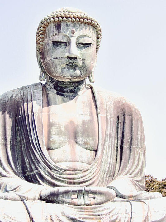 Image Only