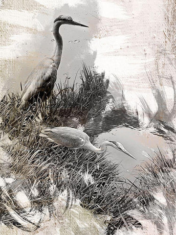 Japanese Herons White Modern Wood Framed Art Print with Double Matting by Urban Epiphany