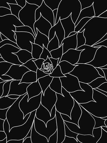 Black White Succulents Set of 2 White Modern Wood Framed Art Print with Double Matting by Urban Epiphany