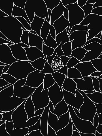 Black White Succulents Set of 2 Black Ornate Wood Framed Art Print with Double Matting by Urban Epiphany