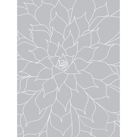 Black White Succulents Set of 2 White Modern Wood Framed Art Print by Urban Epiphany