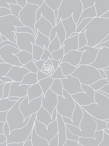 Black White Succulents Set of 2 Black Ornate Wood Framed Art Print with Double Matting by Urban Epiphany