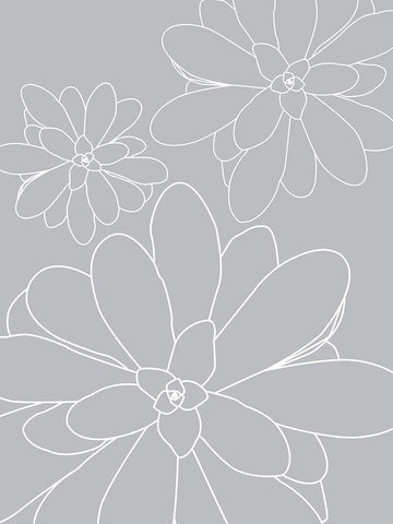 Black White Succulents Set of 2 White Modern Wood Framed Art Print with Double Matting by Urban Epiphany