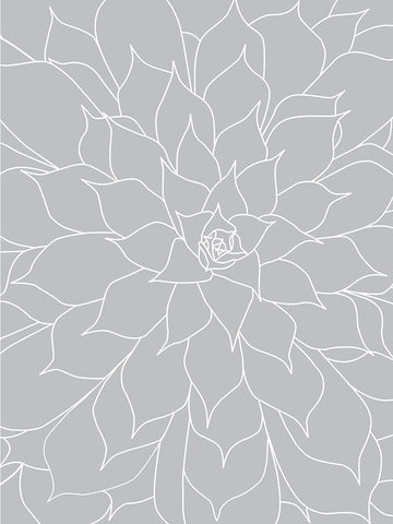 Black White Succulents Set of 2 White Modern Wood Framed Art Print with Double Matting by Urban Epiphany