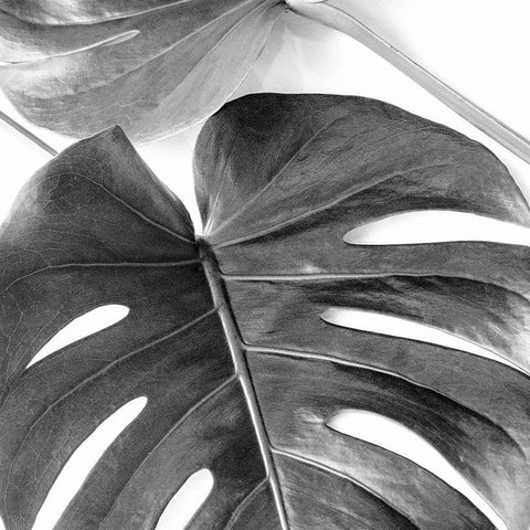 Monstera Leaves White Modern Wood Framed Art Print by Urban Epiphany