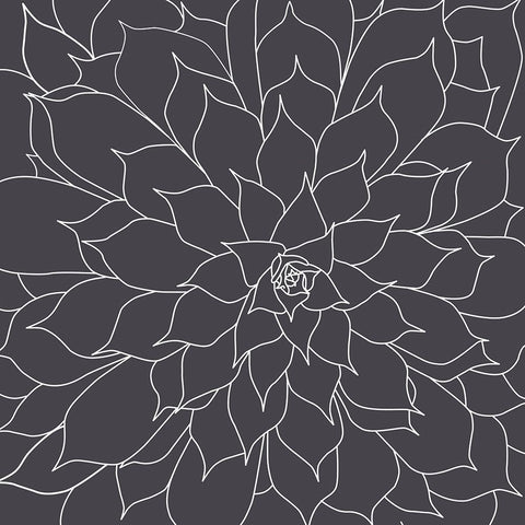 Black And Grey Succulents 1 Black Modern Wood Framed Art Print by Urban Epiphany