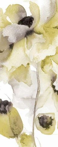 Gray Yellow Petals 2 White Modern Wood Framed Art Print with Double Matting by Brown, Victoria
