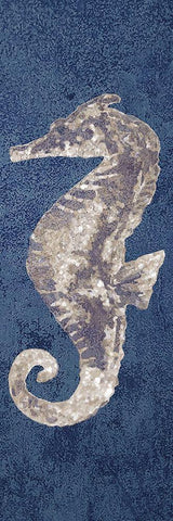 Sea Horse Adventurer 1 White Modern Wood Framed Art Print with Double Matting by Brown, Victoria