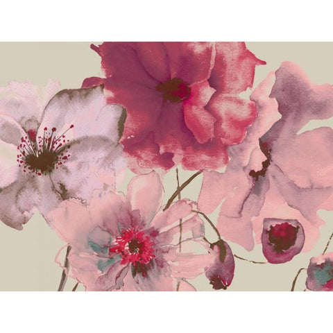 Flowering Pink Hues 2 Black Modern Wood Framed Art Print with Double Matting by Brown,Victoria