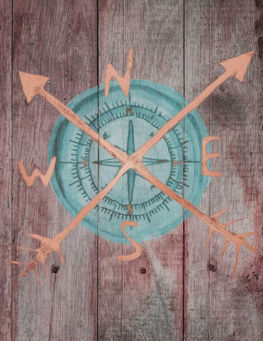 Teal Compass 1 Black Ornate Wood Framed Art Print with Double Matting by Brown, Victoria