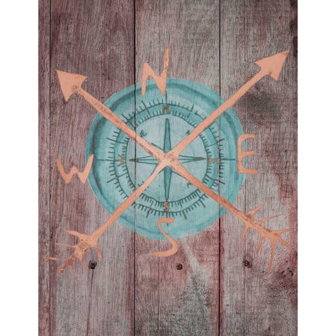 Teal Compass 1 Black Modern Wood Framed Art Print with Double Matting by Brown, Victoria