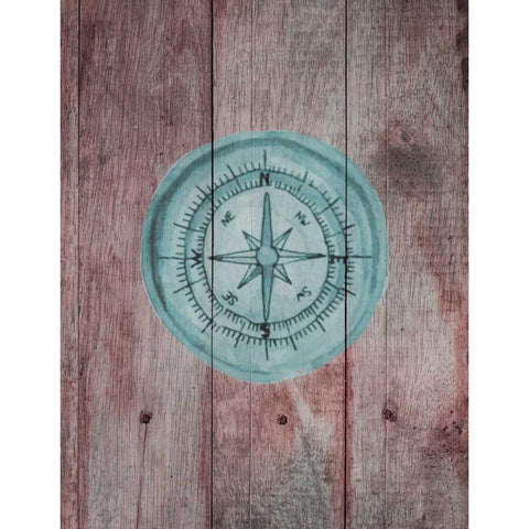 Teal Compass 2 Black Modern Wood Framed Art Print with Double Matting by Brown, Victoria
