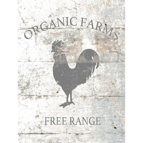 Organic Farm Black Modern Wood Framed Art Print by Brown, Victoria