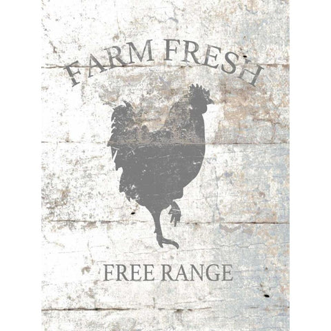 Farm House Fresh Black Modern Wood Framed Art Print with Double Matting by Brown, Victoria