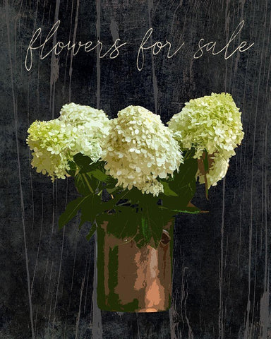 Flowers White Modern Wood Framed Art Print with Double Matting by Brown, Victoria